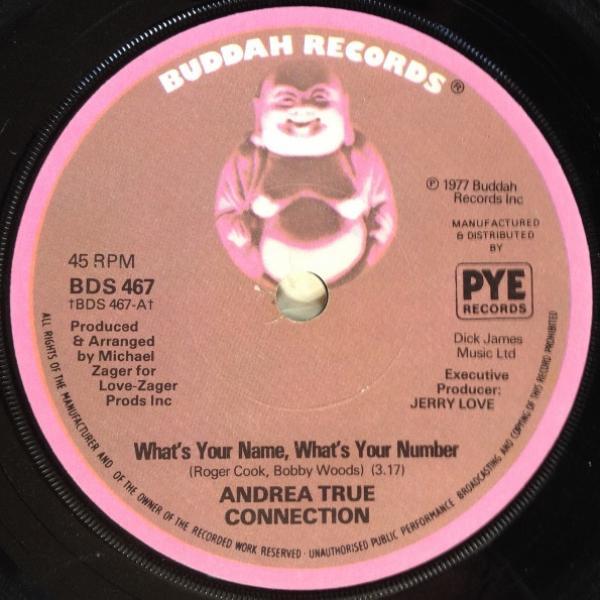 Andrea True Connection - What's Your Name, What's Your Number