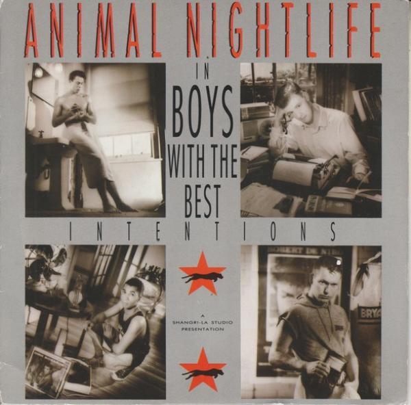Animal Nightlife - Boys With The Best Intentions