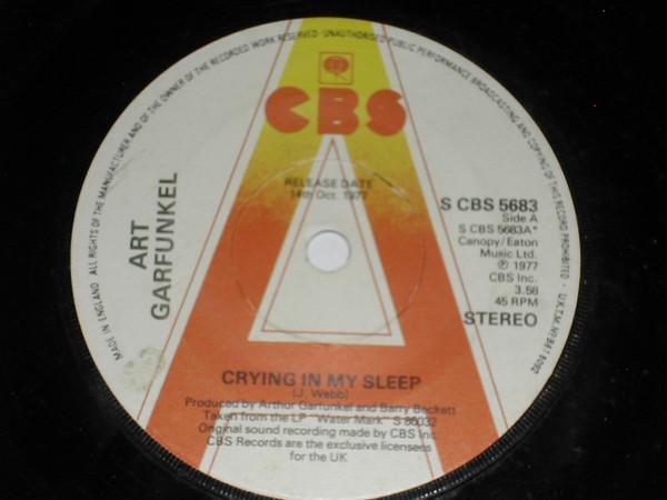 Art Garfunkel - Crying In My Sleep