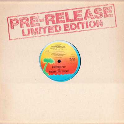 Brother D, Collective Effort - How We Gonna Make The Black Nation Rise?