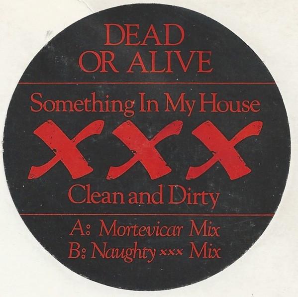 Dead Or Alive - Something In My House (XXX Clean And Dirty)