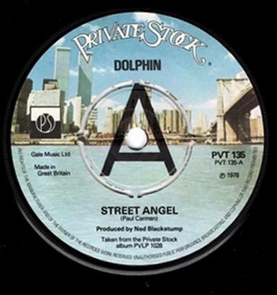 Dolphin (12) - Street Angel