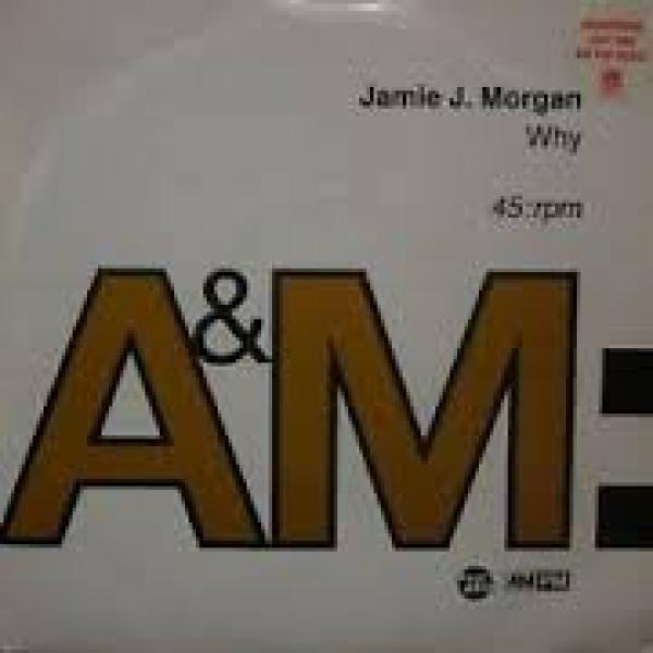 Jamie J. Morgan - Why