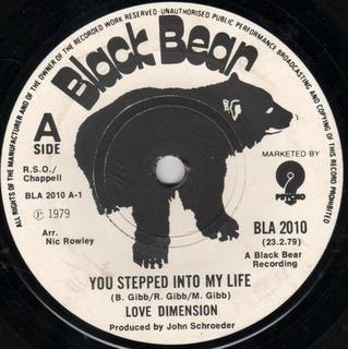 Love Dimension - You Stepped Into My Life