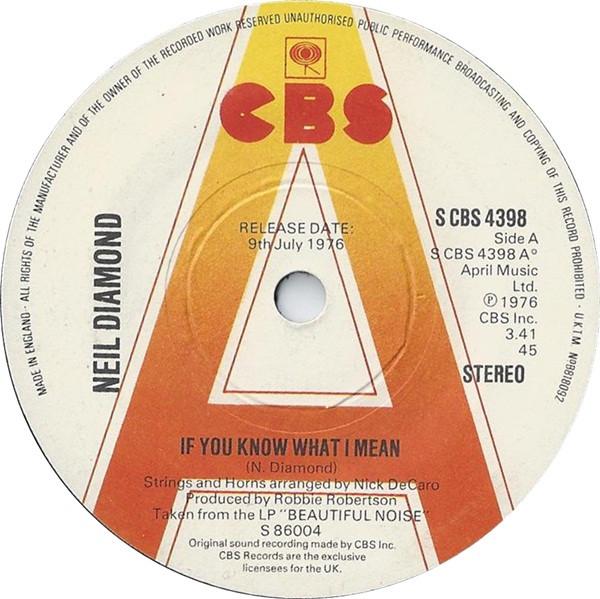 Neil Diamond - If You Know What I Mean