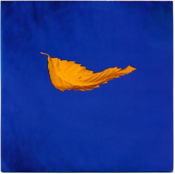 New Order - True Faith
