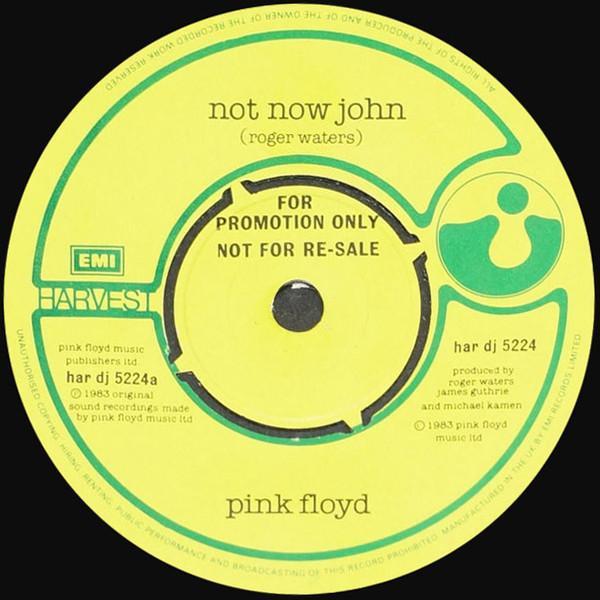 Pink Floyd - Not Now John