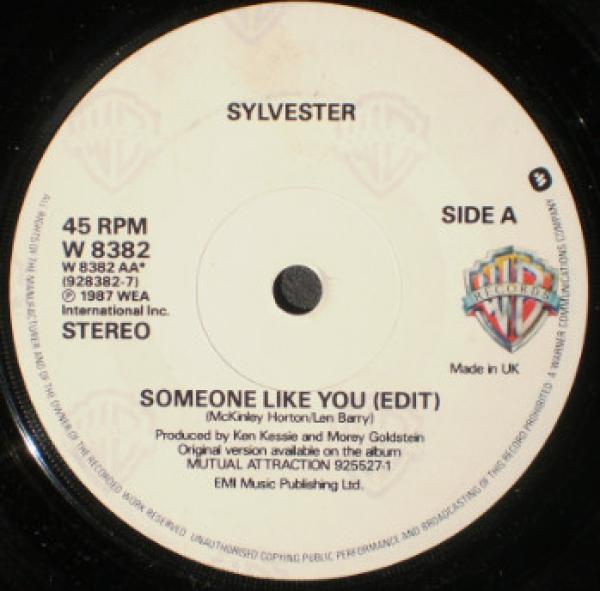 Sylvester - Someone Like You (Edit) / Mutual Attraction (Remix)