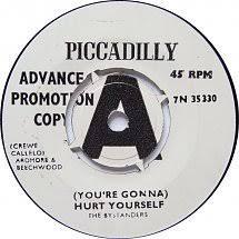 The Bystanders - (You're Gonna) Hurt Yourself / Have I Offended The Girl