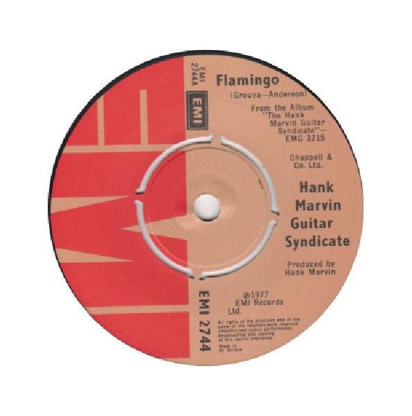 The Hank Marvin Guitar Syndicate - Flamingo