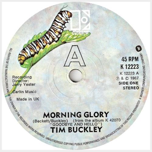 Tim Buckley - Morning Glory